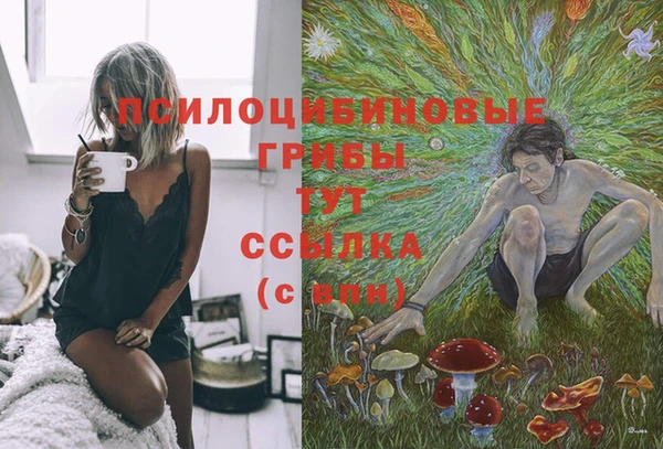 спиды Алексин