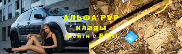 спиды Алексин